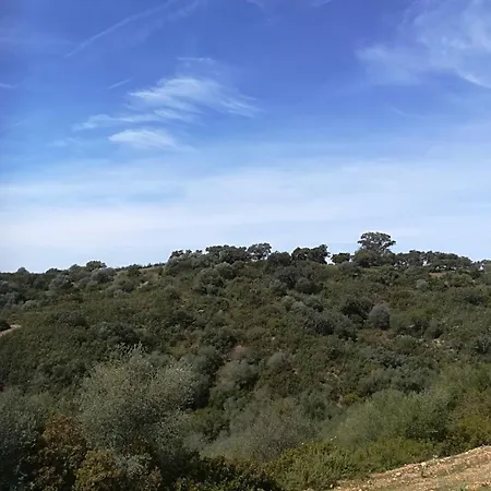 Mesa Del Lobo Cabrahigo *